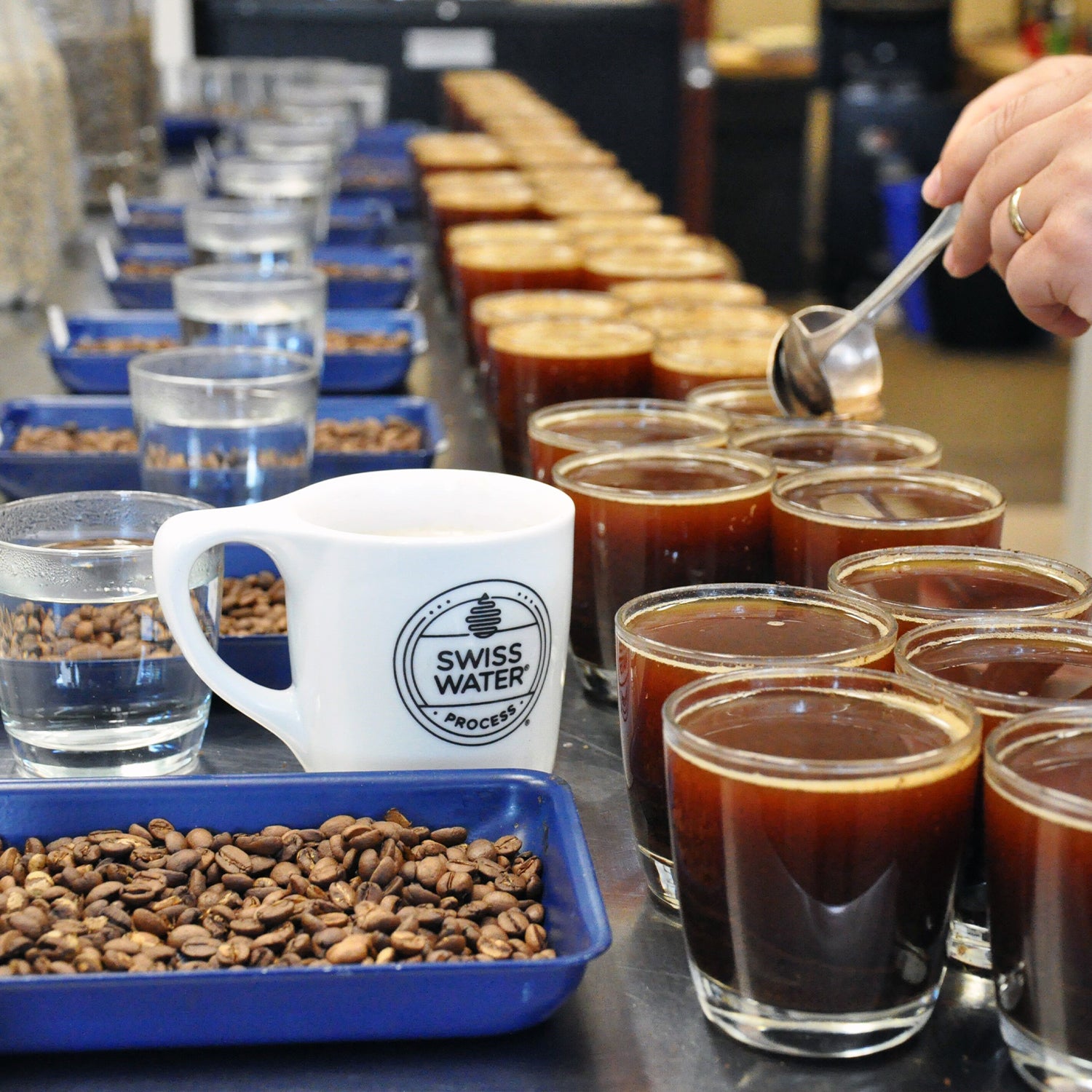 Sunday Drive™ Swiss Water® Process Decaf ground coffee