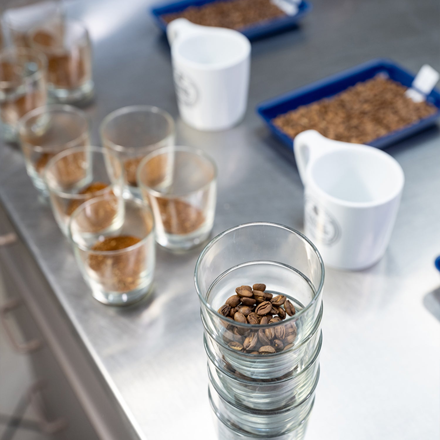 Sunday Drive™ Swiss Water® Process Decaf ground coffee