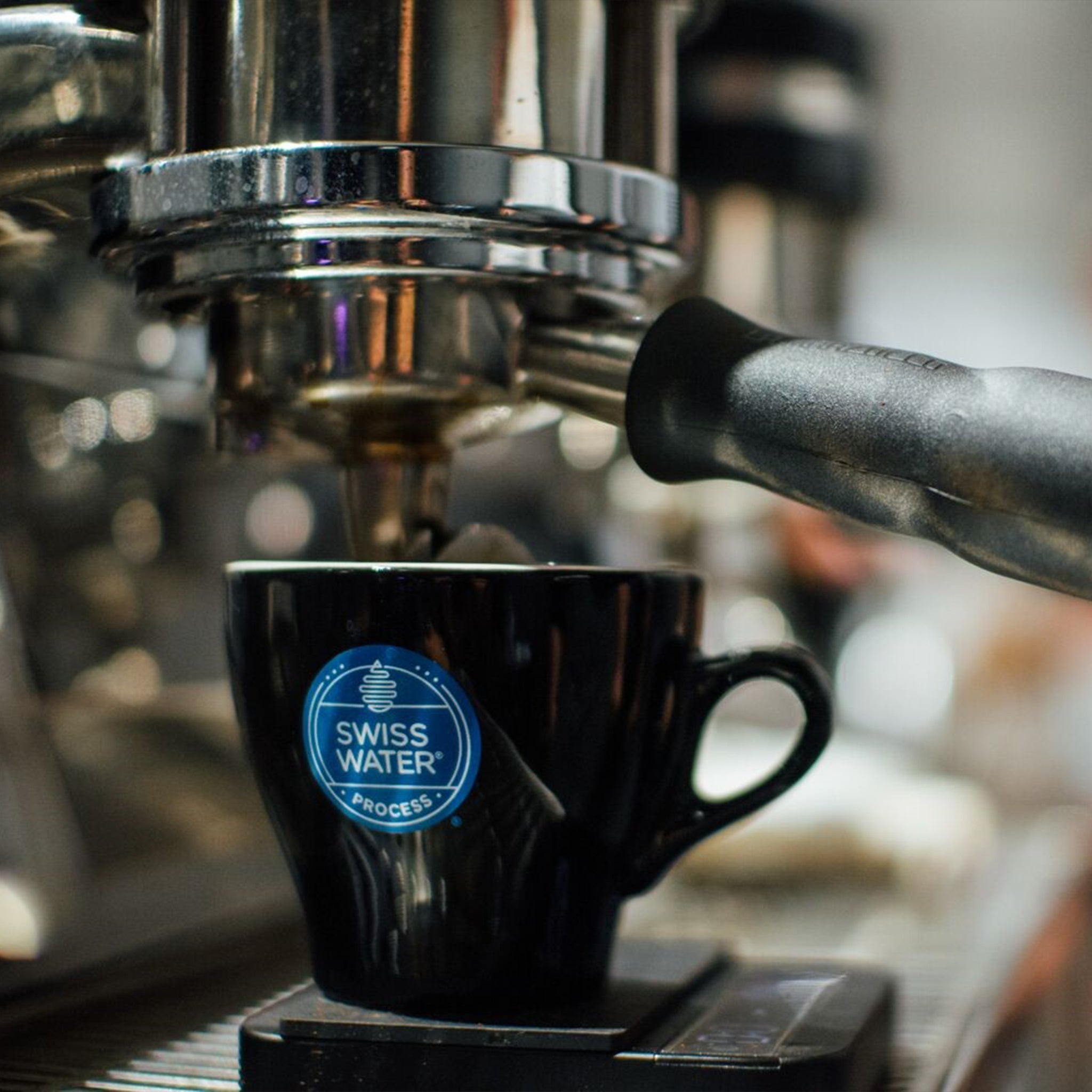 Mississippi Grogg® Swiss Water® Process Decaf whole bean coffee